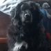 Daniel Garske - Facebook