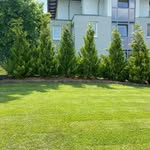 Daniel Müller Gartenbau - @daniel.mueller.gartenbau - Instagram