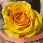 Daniel Gascho - Facebook