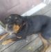 Danny Gaskins - Facebook