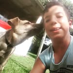 Daniel Gasparello - @dgasparello - Instagram