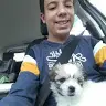 Daniel Gasparello li - @danielgasparellolindo - TikTok