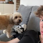 daniel - @danielgassner_ - Instagram