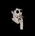 Daniel Kesen - Facebook