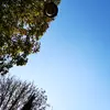 Daniel Gast - @danielgast - TikTok