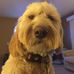 Dan Garringer - Facebook