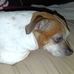 Daniel Gatewood - Facebook