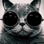 Daniel - @daniel.gato.daniel - Instagram