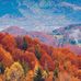 Dan Gatson - Facebook