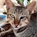 Daniel Gaud - Facebook
