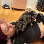 Daniel Gaulke - @gezekloos87 - Instagram