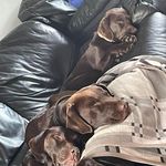 DanielGault - @danielgault06 - Instagram