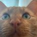 Daniel Gearhart - Facebook