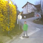 Daniel Geier - @dg_geier - Instagram