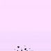 Daniel Keiber - Facebook