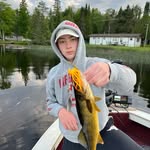 Daniel Gilbertson - @daniel_gilbertson209 - Instagram