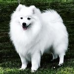 @danielgilland7551 - Instagram