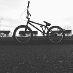 Daniel Gilmartin - @d.gilmartin - Instagram