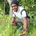 Daniel Gilson - @daniel.gilson.395 - Instagram