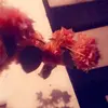 daniel gines - @danielgines4455 - TikTok