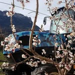 Daniel Gius - @daniel.gius.54 - Instagram