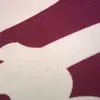 Daniel Giuseppe Zucc - @danielgiuseppezucg146 - TikTok