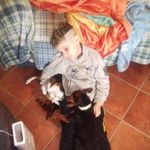Daniel Giusti - @daniel_giusti - Instagram