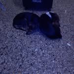 Daniel Giusti - @giusti992 - Instagram