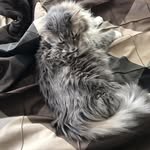Daniel Glasser - @danielglasser_ - Instagram