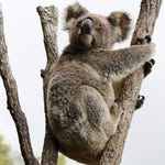 Daniel Glatz - @danielglatz - Instagram