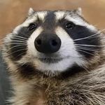 Daniel Glavin - @dumbassdan__ - Instagram