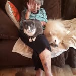 Daniel Glazer - @daniel.glazer.58 - Instagram
