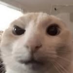Daniel Glazz - @glazzdaniel - Instagram