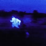 maryam - @danielglazerr - Instagram