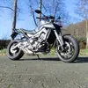 Daniel Glöckner - @user672938791610 - TikTok