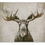 Daniel Thomas Glunt - Facebook