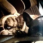 Daniel Godeau - @danielgodeau - Instagram