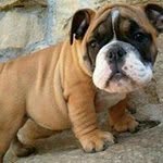 Ismael Cruz - @daniel.godines.31 - Instagram
