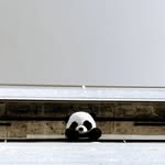 Daniel Goebel - @kogumadan - Instagram