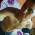 Daniel Gohlke - Facebook