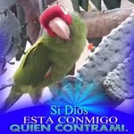 Daniel Goicochea CH - @goicocheach - Instagram