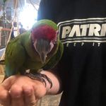 Daniel Gołąbek - @golabedaniel_yb - Instagram