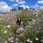 @daniella.goldblatt - Instagram