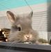 Daniel Brigitte Golder - Facebook
