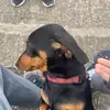 Daniel Golding - @daniel.golding - TikTok