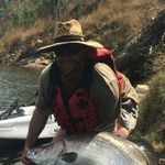 Daniel Goldsworthy - @goldsworthy.daniel - Instagram