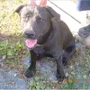 daniel.goll. - @daniel.goll - TikTok