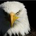 Daniel Gomer - Facebook