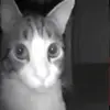  Gómez ✨ - @daniel_gomez419 - TikTok