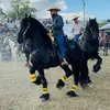 DanielGomez05 - @danielgomez0055 - TikTok